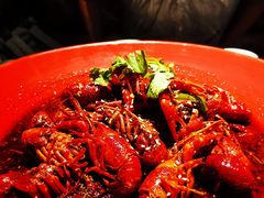 -红辣椒·川菜·火锅(张杨路店)
