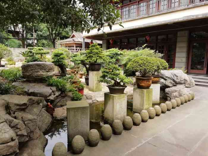 塔宝花园·泉水鸡-"菜量真心很大!虽然有点咸但比较下饭!就在.