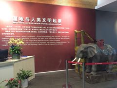 -中国湿地博物馆