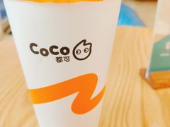 CoCo可可牛奶-CoCo都可(北京西站北广场店)