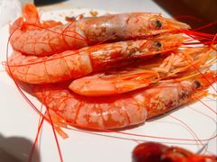 -星伦多自助料理·涮烤一体(江桥万达店)