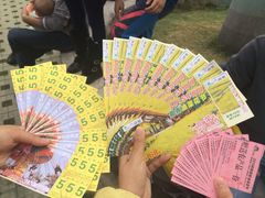 门票，游乐金，礼品卷-盈香心动乐园