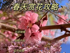 -Catail前苑(前门大街店)