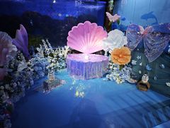 -蓬莱欧乐堡海洋极地世界
