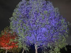 -头塘庄园(农家乐)