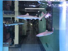 -苏州艺都古玩花鸟市场