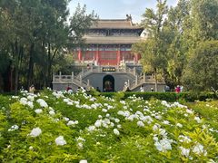 -洛阳白马寺