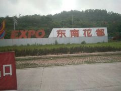 -东南花都花博园