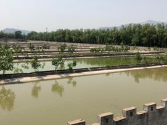 -东方巨龟苑景区