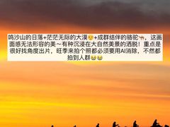 -敦煌市博物馆