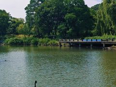 -西山漾湿地公园