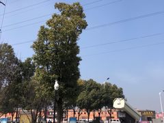 -弘阳装饰城(朝阳大道店)