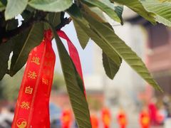 -长春观