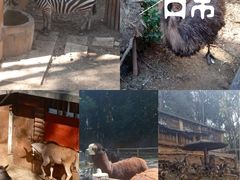 -昆明动物园
