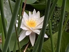-莲湖公园