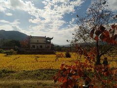 -塔川景区