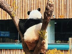 -天津市动物园
