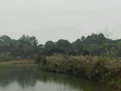 -福建鲤鱼洲酒店