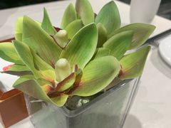 -大鸭梨烤鸭(金色漫香店)