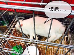 锦尚阁私家烤鱼-锦尚阁烤鱼•天津菜(宣武门胡同店)