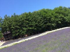 iphone_upload_pic-富田农场