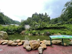 -黔灵山公园