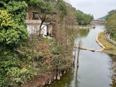 -广州市帽峰山景区