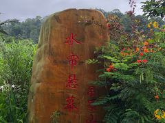 -海南热带雨林国家公园吊罗山景区