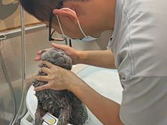 -PETKIT小佩宠物·低压洗护(国顺东路店)