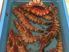-ZF Seafood Restaurant 卓峰海鲜餐