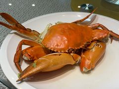 家烧蝤蠓-星龙海鲜(望江东路店)