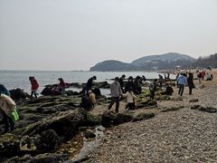 -棒棰岛宾馆景区