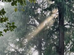 -子昂故里文化旅游区