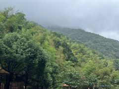 -宁波五龙潭景区