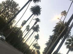 -比弗利花园