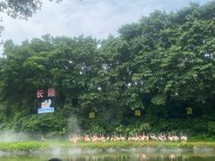-广州长隆飞鸟乐园