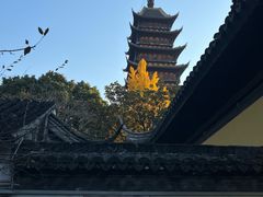 -常熟方塔园