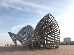 -南汇嘴观海公园