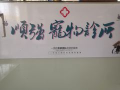 -顺强宠物诊所·狂犬免疫·夜诊·骨科(嘉定店)