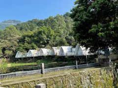 -南丹山森林王国