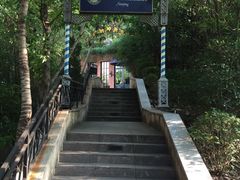 -宝莱纳啤酒花园餐厅PAULANER BRAUHAUS Nanjing(广州路店)