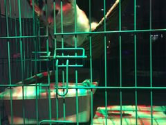 -赢吧Bliss音乐酒吧