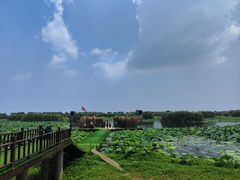 -洪湖生态旅游区