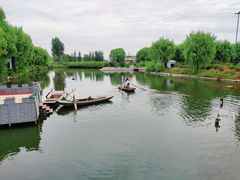 -白洋淀景区