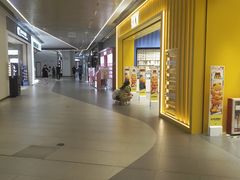 -合景·悠方(成都店)