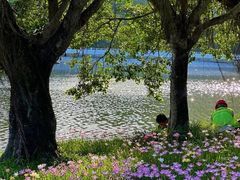 -深圳仙湖植物园