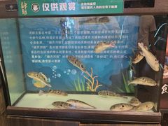 -肆月河豚·淮扬菜·湘菜(华天店)