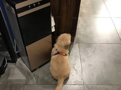 -海马体照相馆(天津世纪都会店)