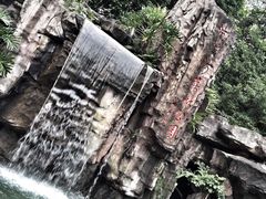iphone_upload_pic-广州市流溪河国家森林公园