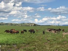 -塞罕坝国家级自然保护区